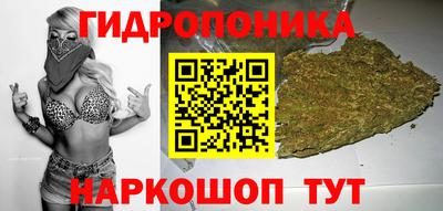СК Можайск